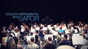 conjunto_instrumental_safor